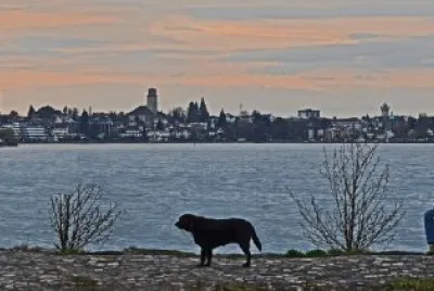 lac bodan