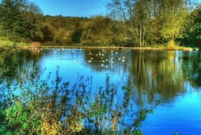 Landschaft