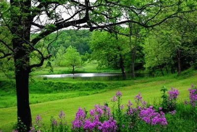 Landschaft