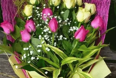 imagens jigsaw puzzle