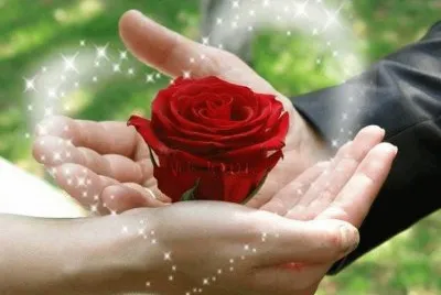 imagens jigsaw puzzle