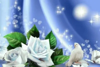 imagens