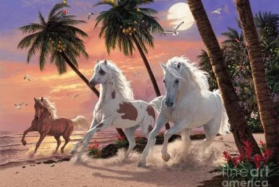 cavalos