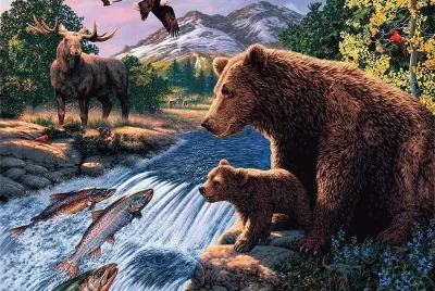 urso