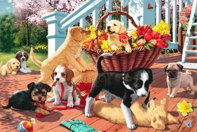 cachorrinhos jigsaw puzzle