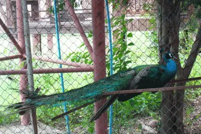 travel-10, Thailand