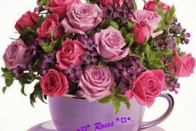 flores 14