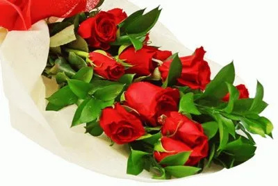 flores 17 jigsaw puzzle