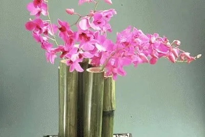 flores 18 jigsaw puzzle