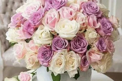 flores 19