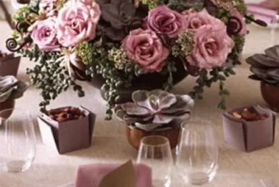 flores 23