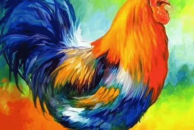 Amazing Rooster