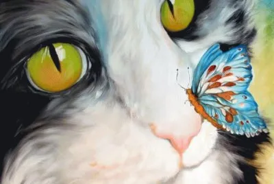 Cat with Butterfly
