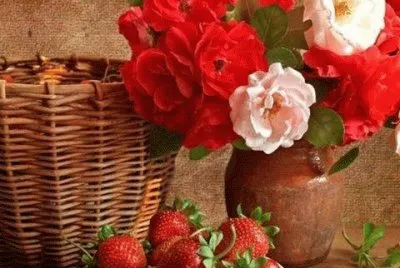 imagens jigsaw puzzle