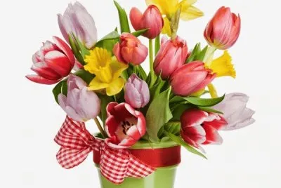 flores 29
