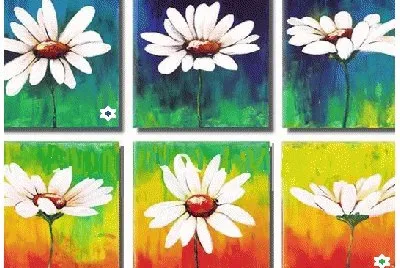 lily6