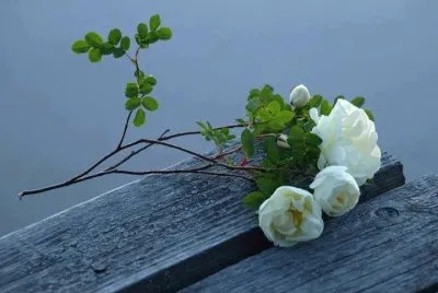 imagens jigsaw puzzle