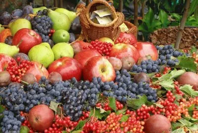Obst
