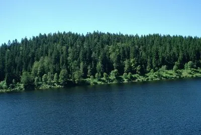 Waldsee