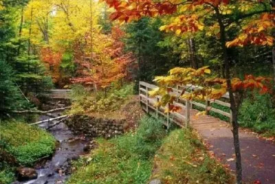 Landschaft jigsaw puzzle
