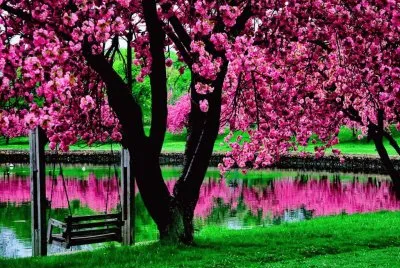 Landschaft jigsaw puzzle