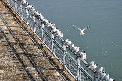 disculpen el retraso