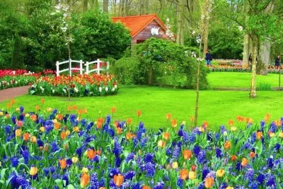 Landschaft