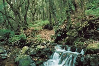 En el PN Tierra del Fuego. Argentina