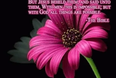 aug 25 jigsaw puzzle