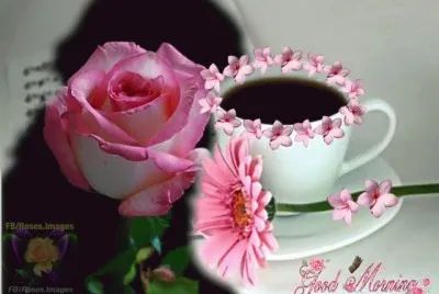 imagens jigsaw puzzle