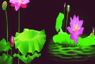 imagens jigsaw puzzle