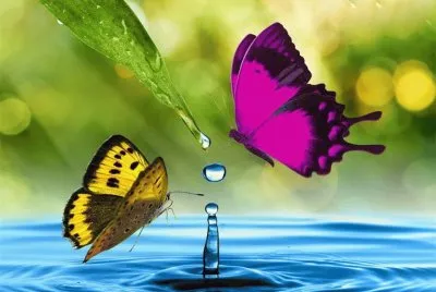 imagens jigsaw puzzle