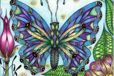 Fantastic Butterfly