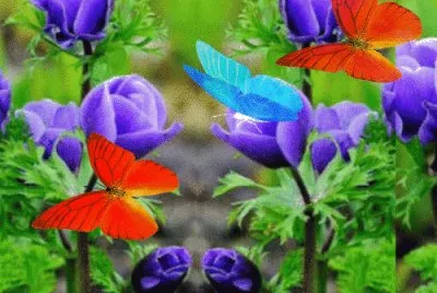 Schmetterlinge jigsaw puzzle