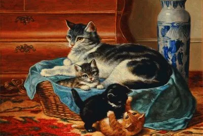 gatinhos