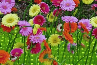 imagens jigsaw puzzle