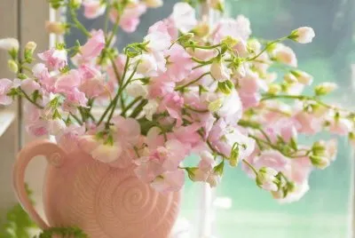 imagens jigsaw puzzle