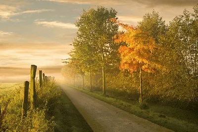NATUREZA