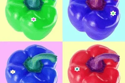 lily6