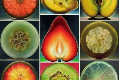 Sacred Geometry in Nature