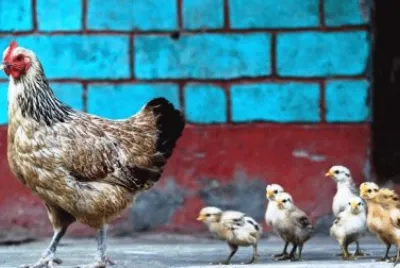 mom#222