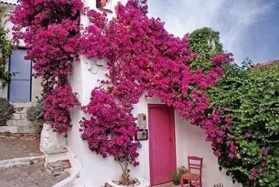 Alonnissos-Grecia)