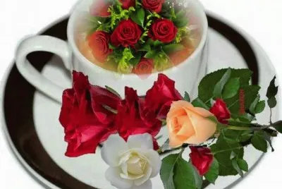 imagens jigsaw puzzle