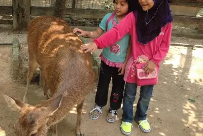 Hanim Hashim