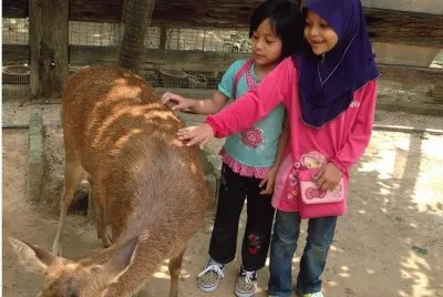 Hanim Hashim