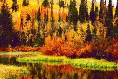פאזל של autumn-146