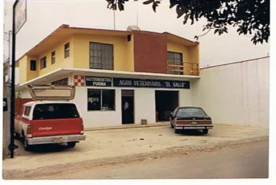 VETERINARIA EL GALLO