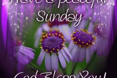 Have a Peaceful Sunday