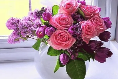 Beautiful  Flowers