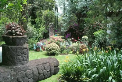 MALINALCO